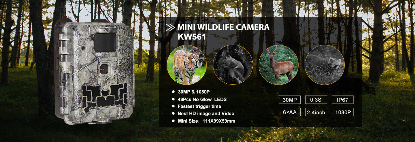 Qualität Kamera Digital-wild lebender Tiere usine