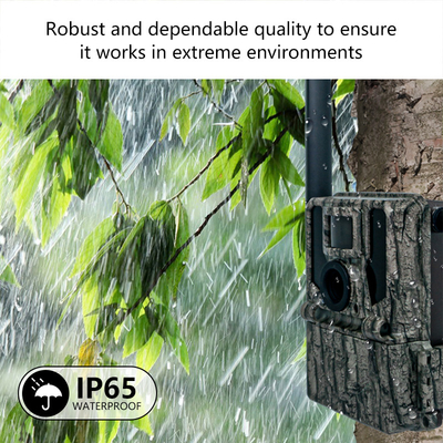 Keepguard 4G Mobilkameras für Wildtiere mit APP-Fernbedienung