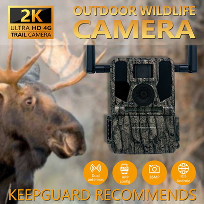 4G-Zelluläre Wildtier-Wald-Trail-Kameras mit APP-Fernbedienung 0,25 Sekunden Auslösgeschwindigkeit Wildspiel-Kameras
