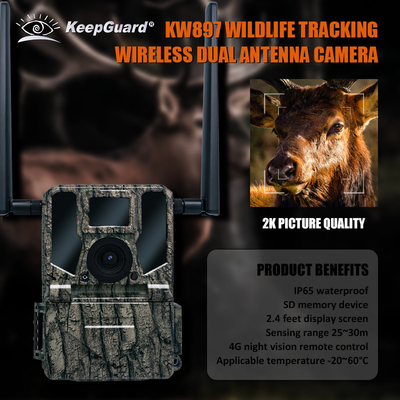 Hochleistungs- 4G-Trail-Kamera 36MP HD-Fotos und 2K-Videos Dual-Antenne IP66 Wasserdichte Jagdkamera mit 512 GB Speicherkapazität