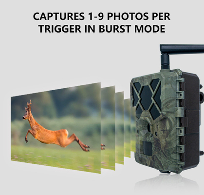 Kostenwirksame KW886 Wildtierkamera mit APP-Steuerung 4G SIM-Karte 24MP 1080P bei 30fps wasserdichte IP67 Nachtsicht Spielekamera