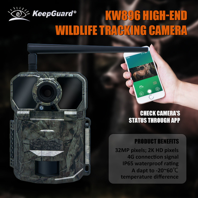 KW896 Jagd-Wildlife-Trail-Kamera 4G Mobilfunk-Wildlife-Trail-Kamera Fabrik-Verkauf OEM ODM Wildlife-Überwachungskamera