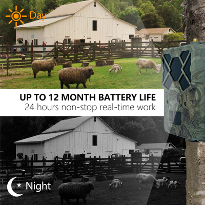 KW886 Wildtierkamera mit APP-Steuerung 4G SIM-Karte 24MP 1080P bei 30fps wasserdicht IP67 Nachtsicht