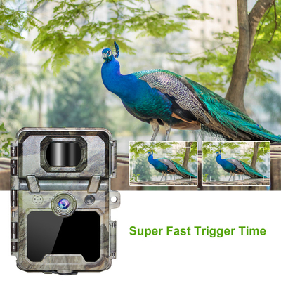 KW571 Fabrik OEM ODM Mini Wildlife Scouting Timelapse Trail Kamera IP67 kein Leuchten CMOS Sensor und SD Speicher Nachtsicht