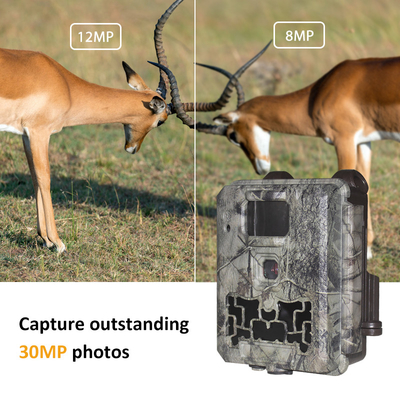 Wildlife Trail Kamera kein Leuchten 30MP Bild 1080P Video wasserdicht IP67 bis zu 512GB Speicherplatz Wettbewerbspreis Jagdkamera