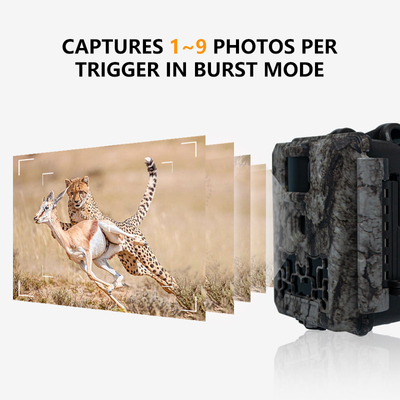 Wildlife Trail Kamera kein Leuchten 30MP Bild 1080P Video wasserdicht IP67 bis zu 512GB Speicherplatz Wettbewerbspreis Jagdkamera