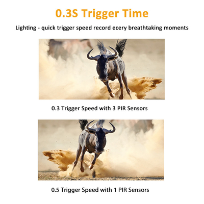 KW561 Trail Infracam Mini 30MP 0.25s Geschwindigkeit 4K Video Auflösung Wasserdicht CMOS Sensor SD Me