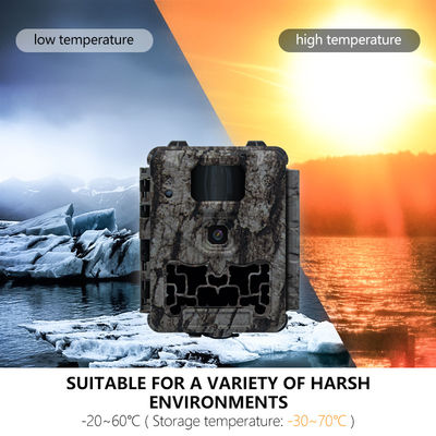 Professionelle Wildkamera mit Auto-IR-Cut-Filter und 450-mm-Mikroobjektiv-Unterstützung für klare und detaillierte Bilder von Wildtieren