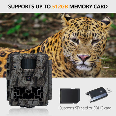 Professionelle Wildkamera mit Auto-IR-Cut-Filter und 450-mm-Mikroobjektiv-Unterstützung für klare und detaillierte Bilder von Wildtieren