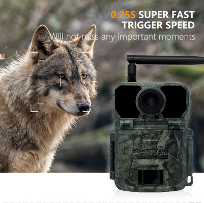 KW865 WIFI versteckte Kamera drahtlose Jagdkamera IP67 20MP Spurkamera, die Bilder an Sie sendet