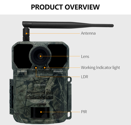 KW865 WIFI versteckte Kamera drahtlose Jagdkamera IP67 20MP Spurkamera, die Bilder an Sie sendet