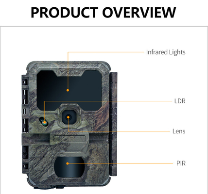 WIFI-Trail-Kamera KW866 wasserdicht IP67 OEM/ODM bis zu 512 GB Speicherplatz SD-Speicherkarte 32MP 4K Wildtierkamera