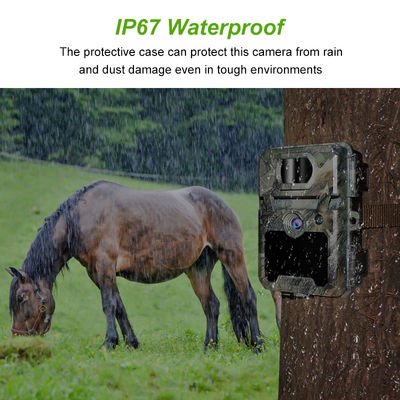 IP67 No-Glow Wildkamera mit 450mm Mikrolinsen-Unterstützung und 1s-60m Intervall HD Wildkameras