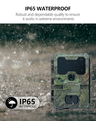 WIFI Jagdkamera KW866 wasserdicht IP67 OEM/ODM bis 512 GB Speicher Speicherkarte 32MP 4K Wildtierkamera