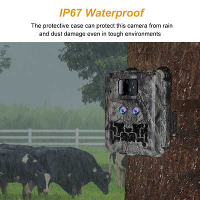 Jagdkamera KW591 leuchtende Dual-Sensoren 1080P wasserdicht IP67 0,4s Auslösergeschwindigkeit bis 512 GB Speicher Hunting-Kamera