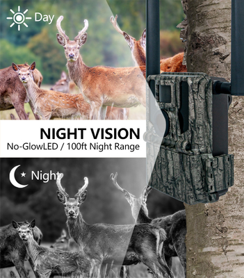 2024 Neueste High-End 4G drahtlose Jagdkamera KW897 mit Dual-Antennen 100 Fuß Nacht Reichweite 36MP 2K Video bei 30fps für Wildtiere