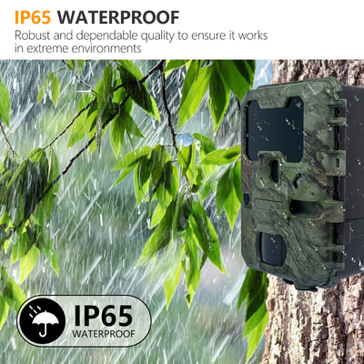 Jagdkamera KW788 wasserdicht IP67 4K Video 32MP einfach zu navigieren einfach zu bedienen robuste lange Arbeitszeit