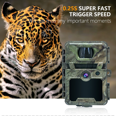 30MP Tarn IP66 wasserdichte Jagdkamera mit PIR-Sensor und 48pcs No Glow IR LEDs HD Jagdkameras