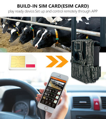 Jagd- und Trailkameras Solaranlage 4G Drahtlose Kamera KW897 mit Dual-Antennen 100 Fuß Nacht Reichweite 36MP 2K Video bei 30fps