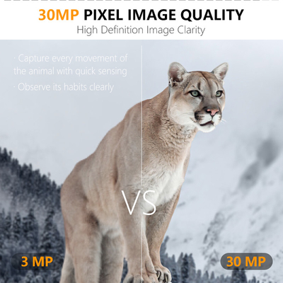 4G Jagd-Trail-Kamera KW895 mit APP 2K FHD Video 30MP Bild wasserdicht IP67 bis zu 512GB Speicher für Wildtierforschung
