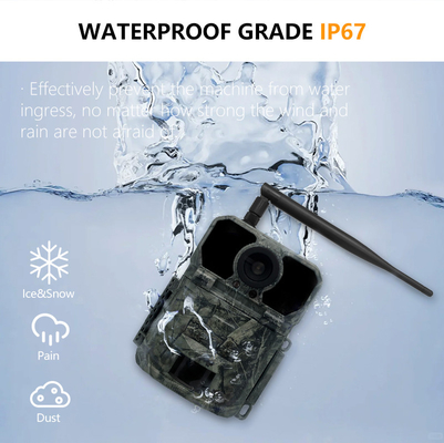 4G Jagd-Trail-Kamera KW895 mit APP 2K FHD Video 30MP Bild wasserdicht IP67 bis zu 512GB Speicher für Wildtierforschung