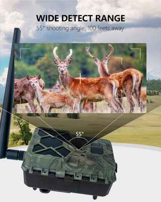 Outdoor-Wildlife-Trail-Kamera 4G-Rabatt mit SIM-Karte 24MP 1080P bei 30fps GSM 4G APP wasserdicht IP67 Jagd Solarpanel