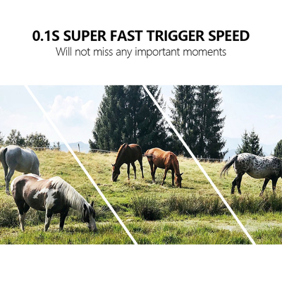 Outdoor-Wildlife-Trail-Kamera 4G-Rabatt mit SIM-Karte 24MP 1080P bei 30fps GSM 4G APP wasserdicht IP67 Jagd Solarpanel