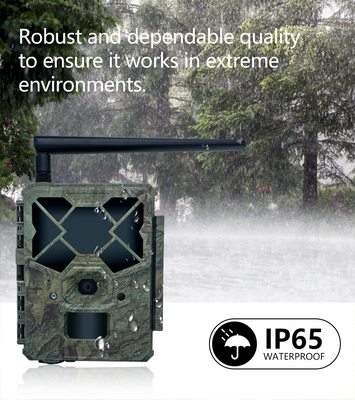 Outdoor-Wildlife-Trail-Kamera 4G-Rabatt mit SIM-Karte 24MP 1080P bei 30fps GSM 4G APP wasserdicht IP67 Jagd Solarpanel