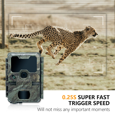 Nachtsicht Jagdkamera mit kleiner Größe KW788 0,1s Auslöser 32MP scharfes Bild 4K Video wasserdicht IP67 für die Jagd