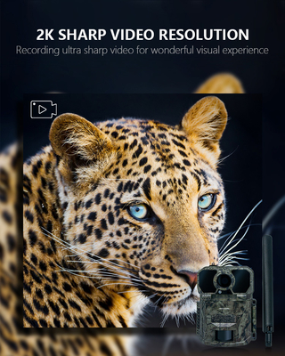 Drahtlose Spurkamera zur Jagd und Beobachtung von Wildtieren mit Infrarot-Flash-Technologie