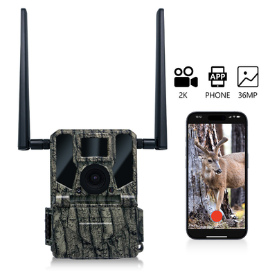 4G Mobilfunk-Wireless-Jagdkamera KW897 eingebaut in SIM-Karte 36MP Aufnahme 2K-Video mit 30fps mit doppelten Antennen für Wildtiere