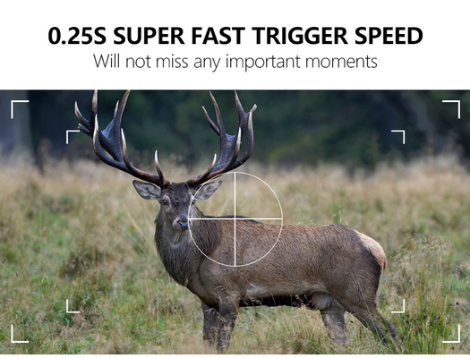 Jagdkamera KW866 mit WIFI-Verbindung 0,25 Sek. Aufnahmegeschwindigkeit IP67 bis zu 512 GB Speicher 32 MP 4K bei 30 Bildern pro Sekunde Hirschjagd