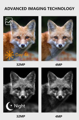Wasserdichte IP67 WIFI Bluetooth-Kamera