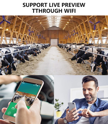 Jagdkamera KW866 mit WIFI-Verbindung 0,25 Sek. Aufnahmegeschwindigkeit IP67 bis zu 512 GB Speicher 32 MP 4K bei 30 Bildern pro Sekunde Hirschjagd