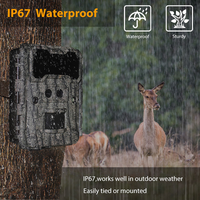 Doppelobjektive Jagdkamera KW696 OEM/ODM 0.4s Reaktionsgeschwindigkeit 1080P/30MP wasserdicht IP67 100ft Nachtreichweite für Wildtierjagd