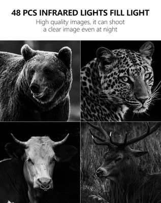 Erleben Sie eine unübertroffene Leistung mit 4G Trail Camera Die perfekte Lösung für die Überwachung von Wildtieren