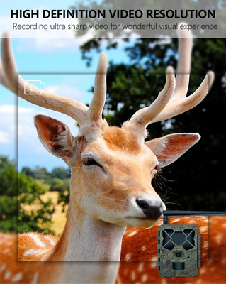 Game&trail Kamera 4G KW886 mit Antenne Kosteneffiziente Jagdkamera 24MP 1080P Nachtsicht 0.1s Reaktionszeit Spielkamera