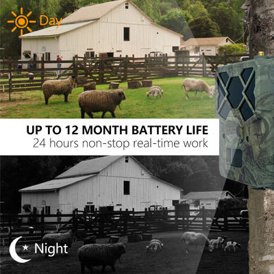 Erleben Sie eine unübertroffene Leistung mit 4G Trail Camera Die perfekte Lösung für die Überwachung von Wildtieren