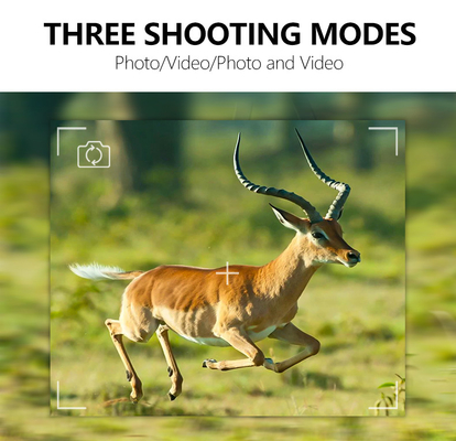Hochleistungs- 4G-Trail-Kamera 36MP HD-Fotos und 2K-Videos Dual-Antenne IP66 Wasserdichte Jagdkamera mit 512 GB Speicherkapazität