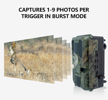 WIFI-Trail-Kamera KW866 wasserdicht IP67 OEM/ODM bis zu 512 GB Speicherplatz SD-Speicherkarte 32MP 4K Wildtierkamera