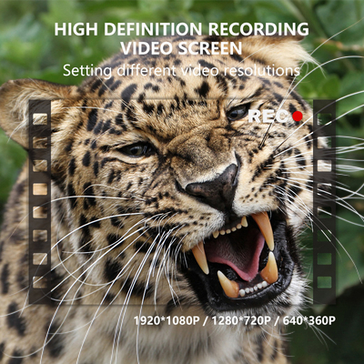 Doppelobjektive versteckte Kamera KW696 OEM/ODM 0.4s Auslöser 1080P/30MP wasserdicht IP67 100ft Nachtbereich für Wildtierjagd