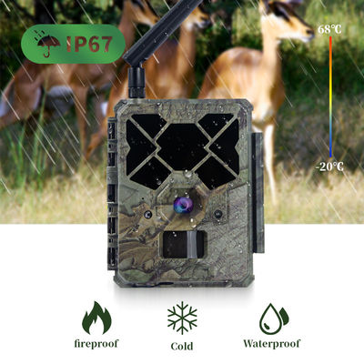 4G LTE mobile App-Steuerung schneller Auslöser kein Leuchten lange Arbeitszeit Jagd Zubehör Spurkamera
