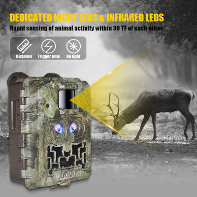 Verkaufsaktion 39USD Dual Lens/Dual Sensor Wildlife Game Kamera 30MP 1080P No-Glow 940nm mit Tag und Nacht Sensor