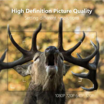Sensoren 30MP Deer Trail Camera Megapixel imprägniern IP65 mit SDHC-Karte