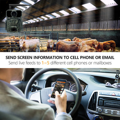 940nm führte die Jagd der Hinterkamera Hd 30MP 180mA programmierbar