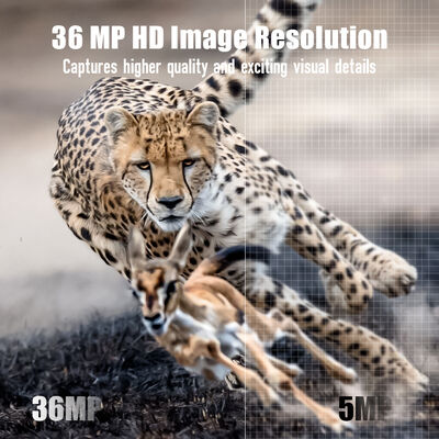 4G-Trail-Kamera mit Fernansichtsfähigkeit und robustem Gehäuse, die detaillierte Bilder an entlegenen Orten aufnehmen kann