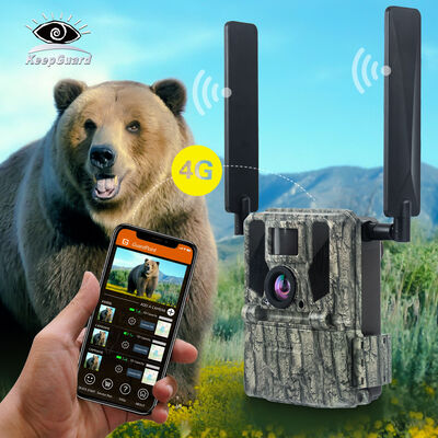 4G-Trail-Kamera mit Fernansichtsfähigkeit und robustem Gehäuse, die detaillierte Bilder an entlegenen Orten aufnehmen kann
