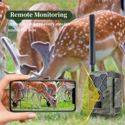 Unterstützt bis zu 32 GB MicroSD-Karte Mobilkamera mit 1080p Full HD Video Ideal für Sicherheit und Wildtierverfolgung