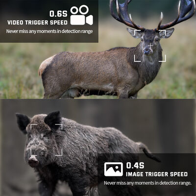 Robuste HD-Jagdkameras mit langer Akkulaufzeit, Infrarot-Nachtsicht und Bewegungserkennung für die Außenüberwachung