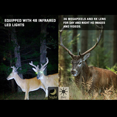 Robuste HD-Jagdkameras mit langer Akkulaufzeit, Infrarot-Nachtsicht und Bewegungserkennung für die Außenüberwachung